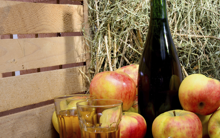 Cidre Verkostung
