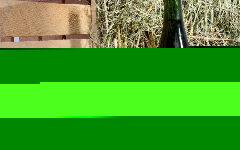 Cidre Verkostung