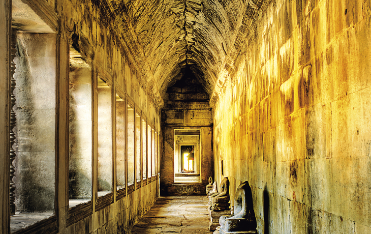 Reisfelder - ©ducvien - stock.adobe.com