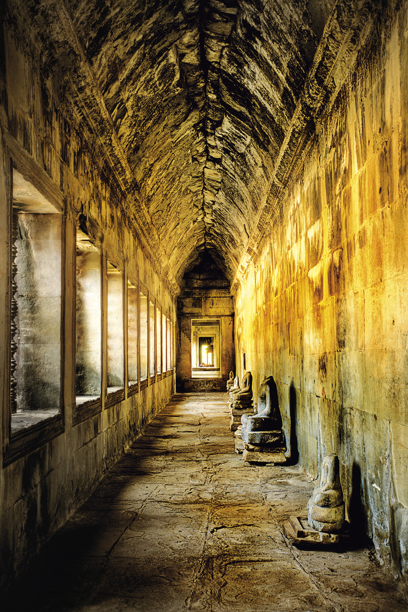 Reisfelder - ©ducvien - stock.adobe.com