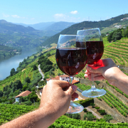 Weinberge im Duoro-Tal, Portugal