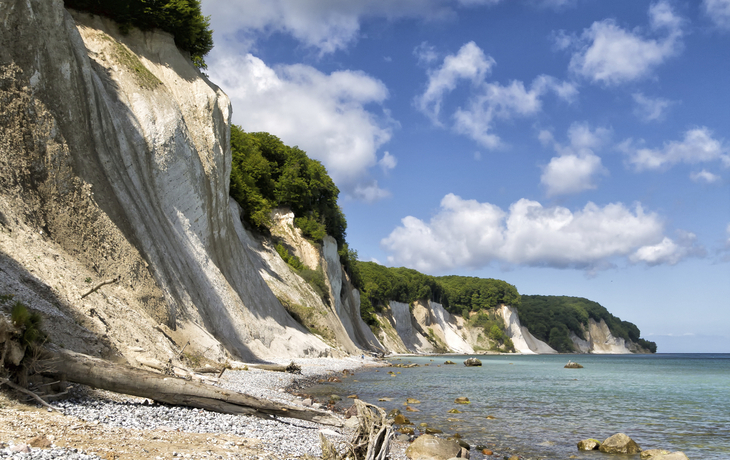 Kreidefelsen auf Rügen