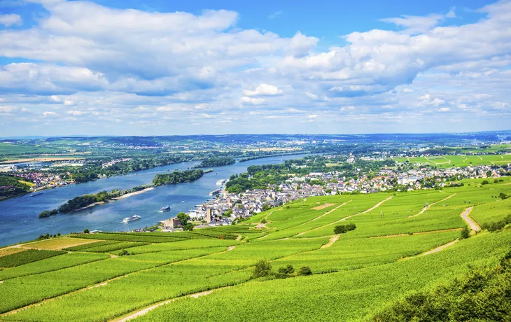 Mit MS Edelweiss Naturspektakel entlang des Rheins