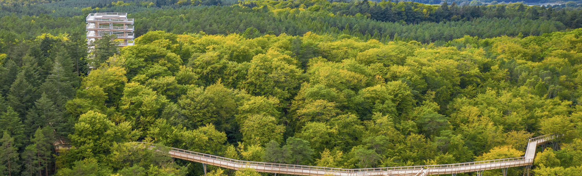 Baumwipfelpfad Usedom Turm