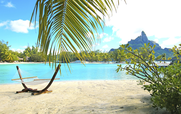 MS Thurgau Saxonia - © 