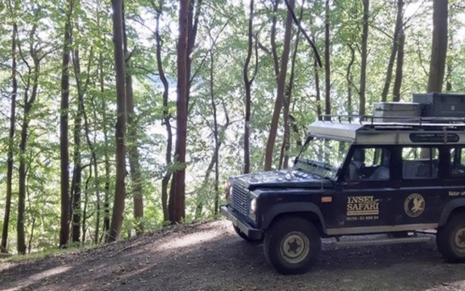 Insel Safari Usedom