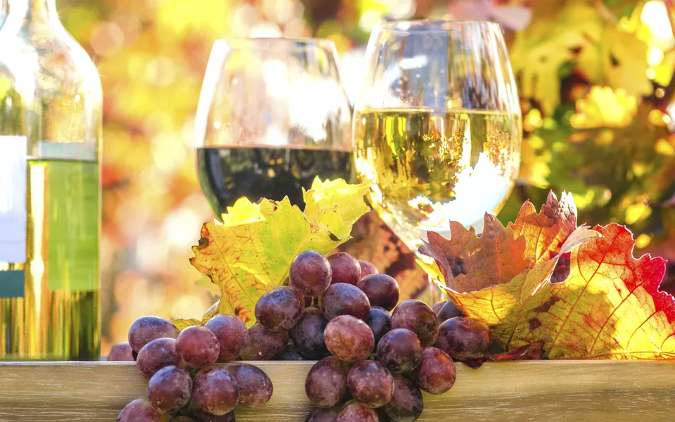 Weingenuss in der Pfalz - © Â©doris oberfrank-list - stock.adobe.com