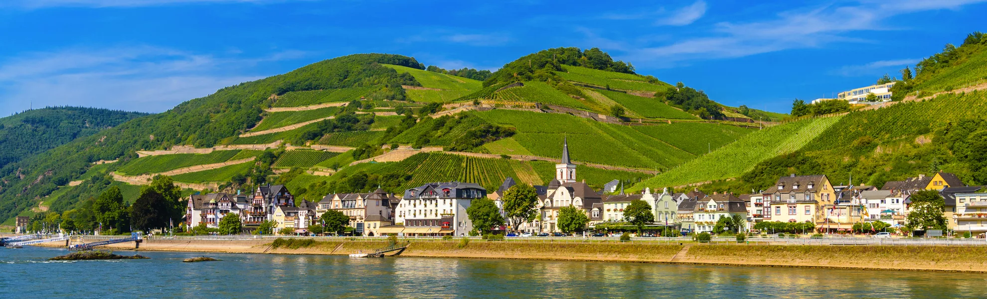 Weinberge in Rüdesheim  - © Eagle2308 - stock.adobe.com