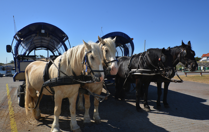 Thurgau Chopin von Berlin zu den Ostseeinseln