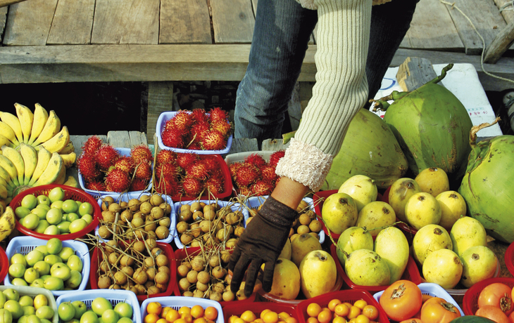 Mekong Discovery Zauberhafter Mekong zum Delta