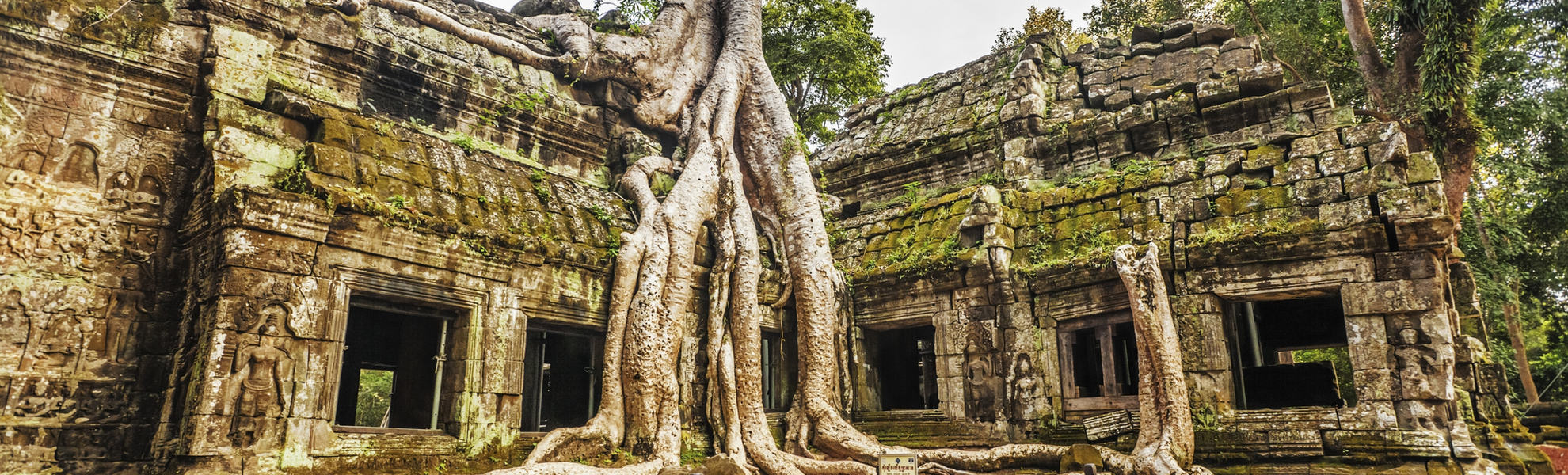 Ta Prohm Temple, Angkor, Cambodia - © Kushch Dmitry - stock.adobe.com