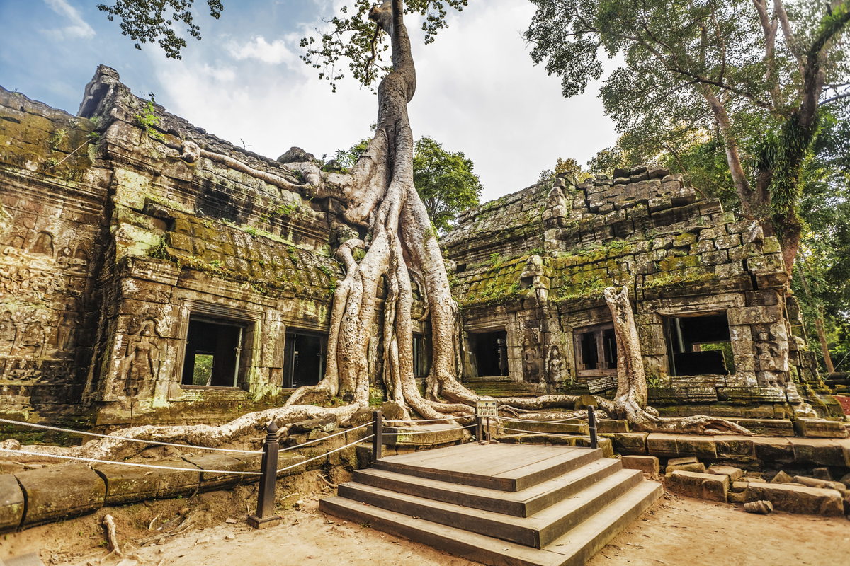 Ta Prohm Temple, Angkor, Cambodia - © Kushch Dmitry - stock.adobe.com