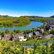 Moselschleife bei Bremm