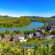 Moselschleife bei Bremm