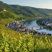 Burg Olymp Bernkastel