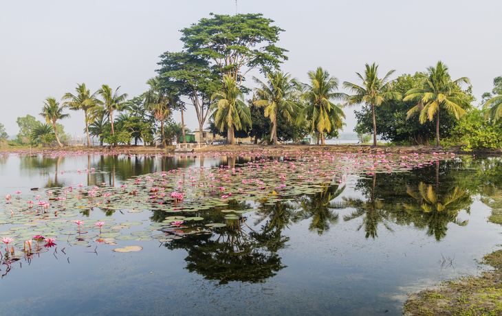 Die Weiten des Sundarbans RV Thurgau Ganga Vilas