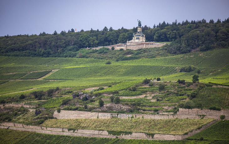 Niederwalddenkmal, Rüdesheim - © Holger Leue / www.leue-photo.com