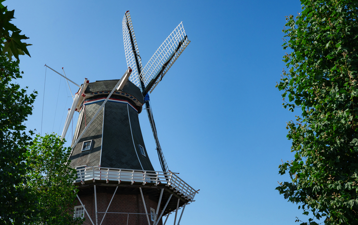 Mühle Adam in Delfzijl - © Corinne - stock.adobe.com