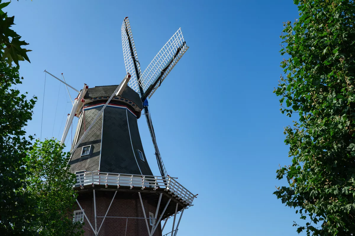 Mühle Adam in Delfzijl - © Corinne - stock.adobe.com Mühle Adam in Delfzijl - © Corinne - stock.adobe.com