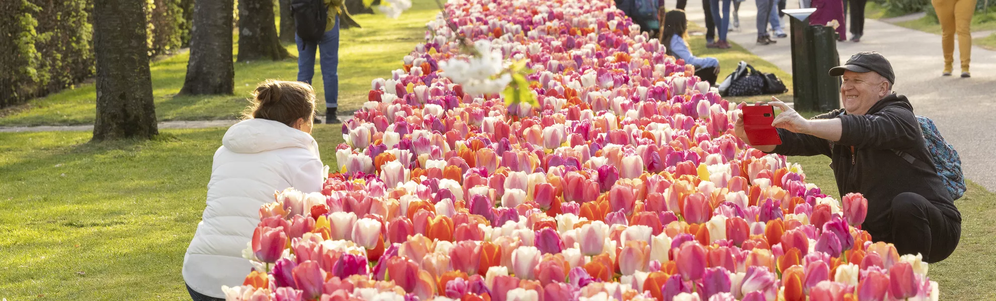 Keukenhof - © Sven van der Vlugt Fotografie