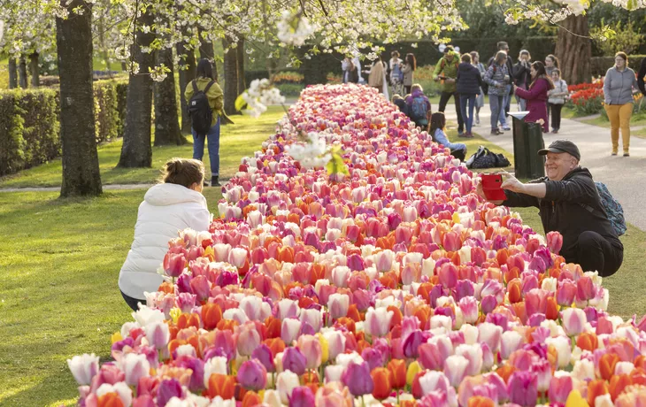 Keukenhof - © Sven van der Vlugt Fotografie