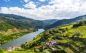 © Simon Dannhauer - stock.adobe.com