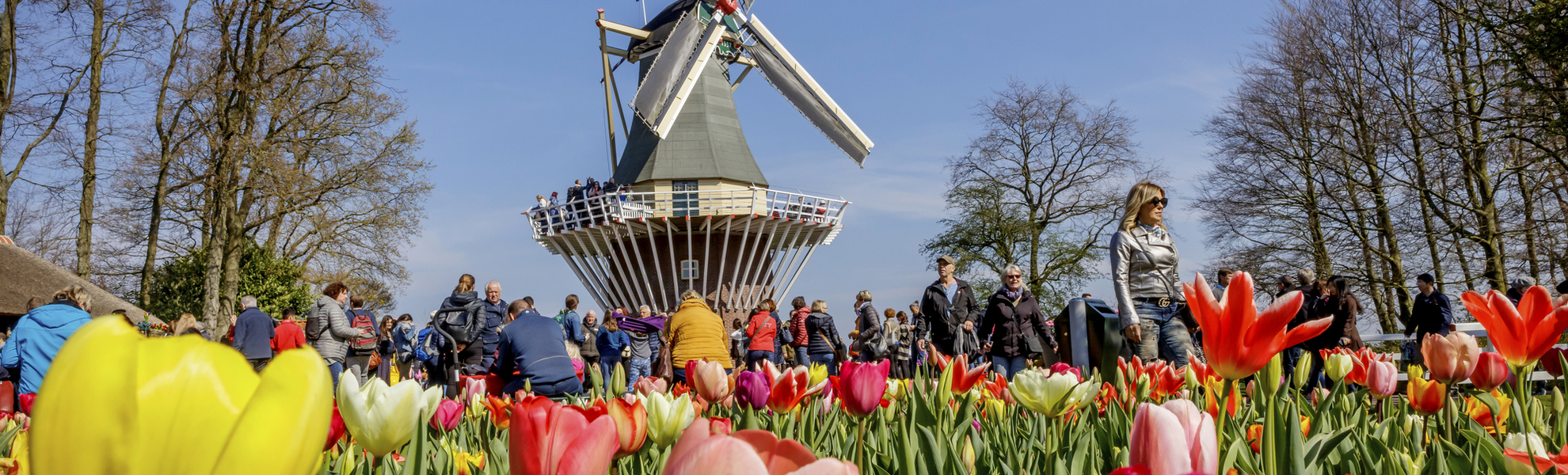 Keukenhof - © 