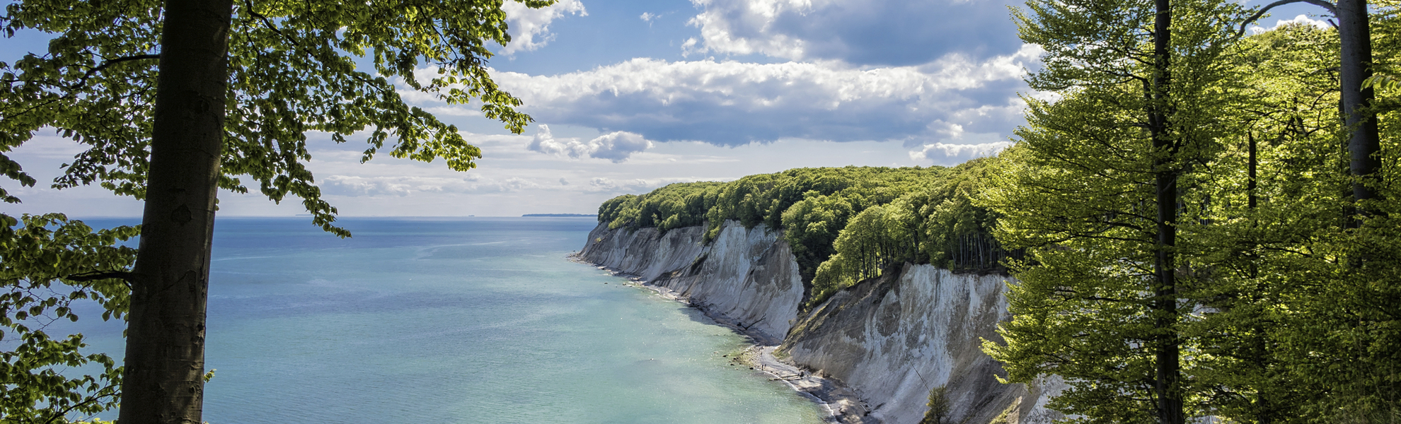 Kreidefelsen, Rügen - © Getty Images/iStockphoto