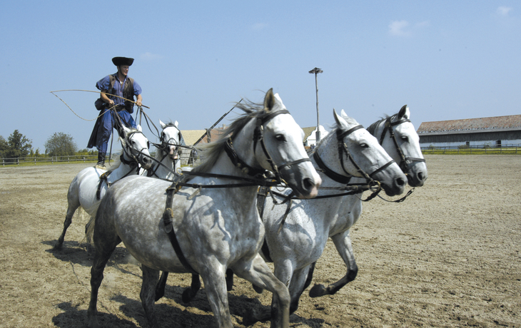 Reitvorführung, Puszta