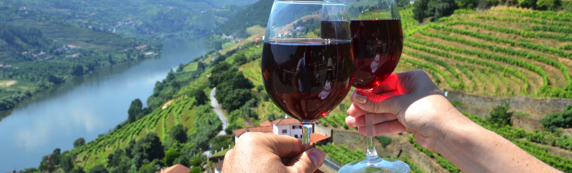 Vignobles dans la vallée du Douro, Portugal - ©aproposx - stock.adobe.com
