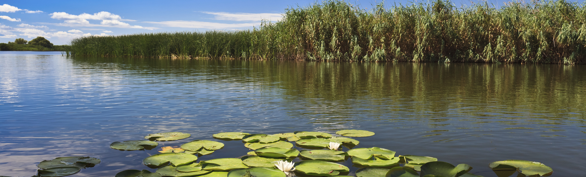Wasserlandschaft im Donaudelta - © shutterstock_93505555