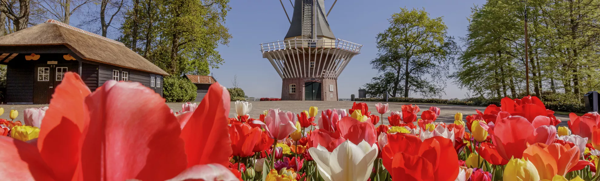 Keukenhof - © 