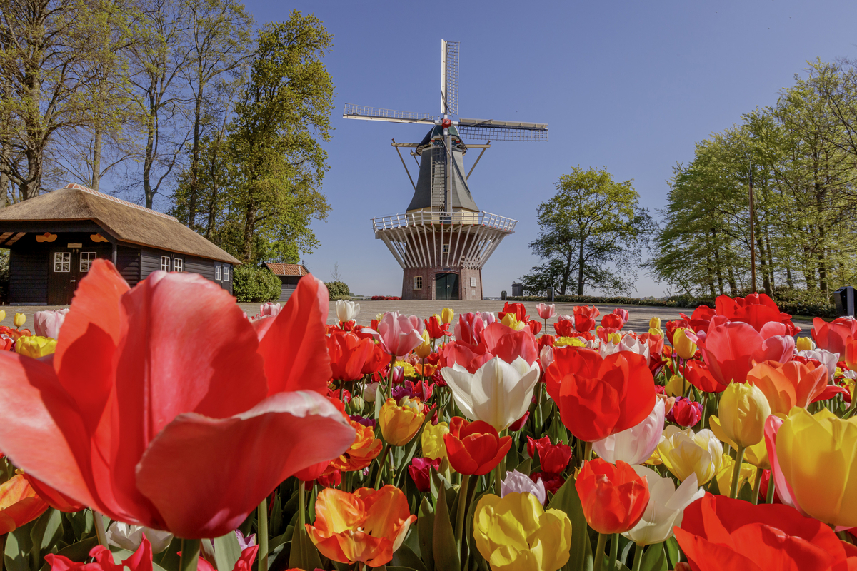 Keukenhof - © 