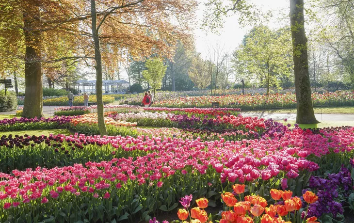 Keukenhof