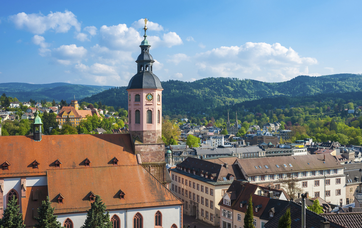Schwungvoll auf Rhein und Main mit Thurgau Gold