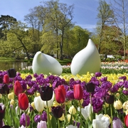 Keukenhof