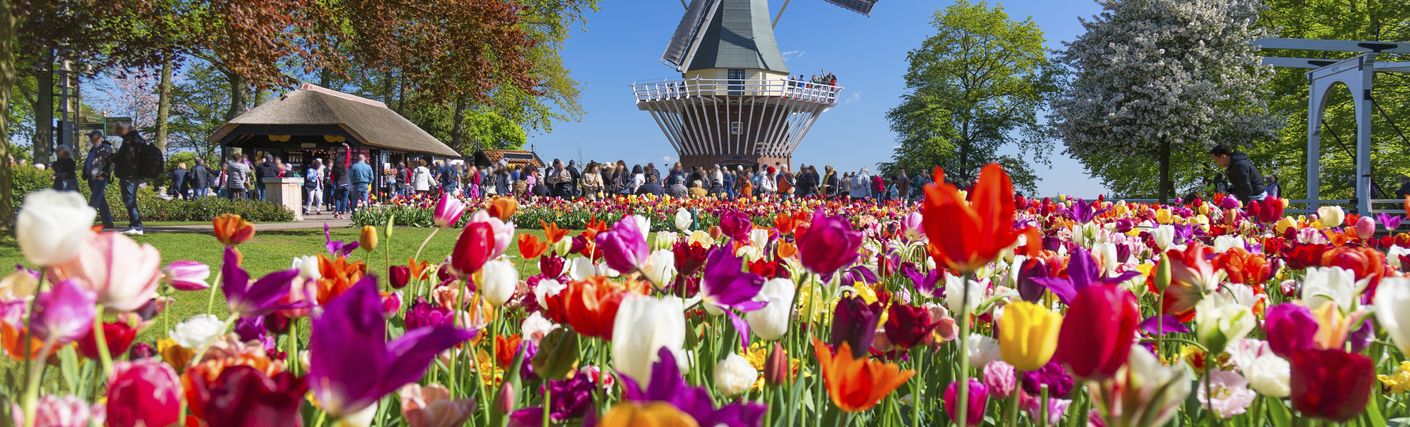 Keukenhof