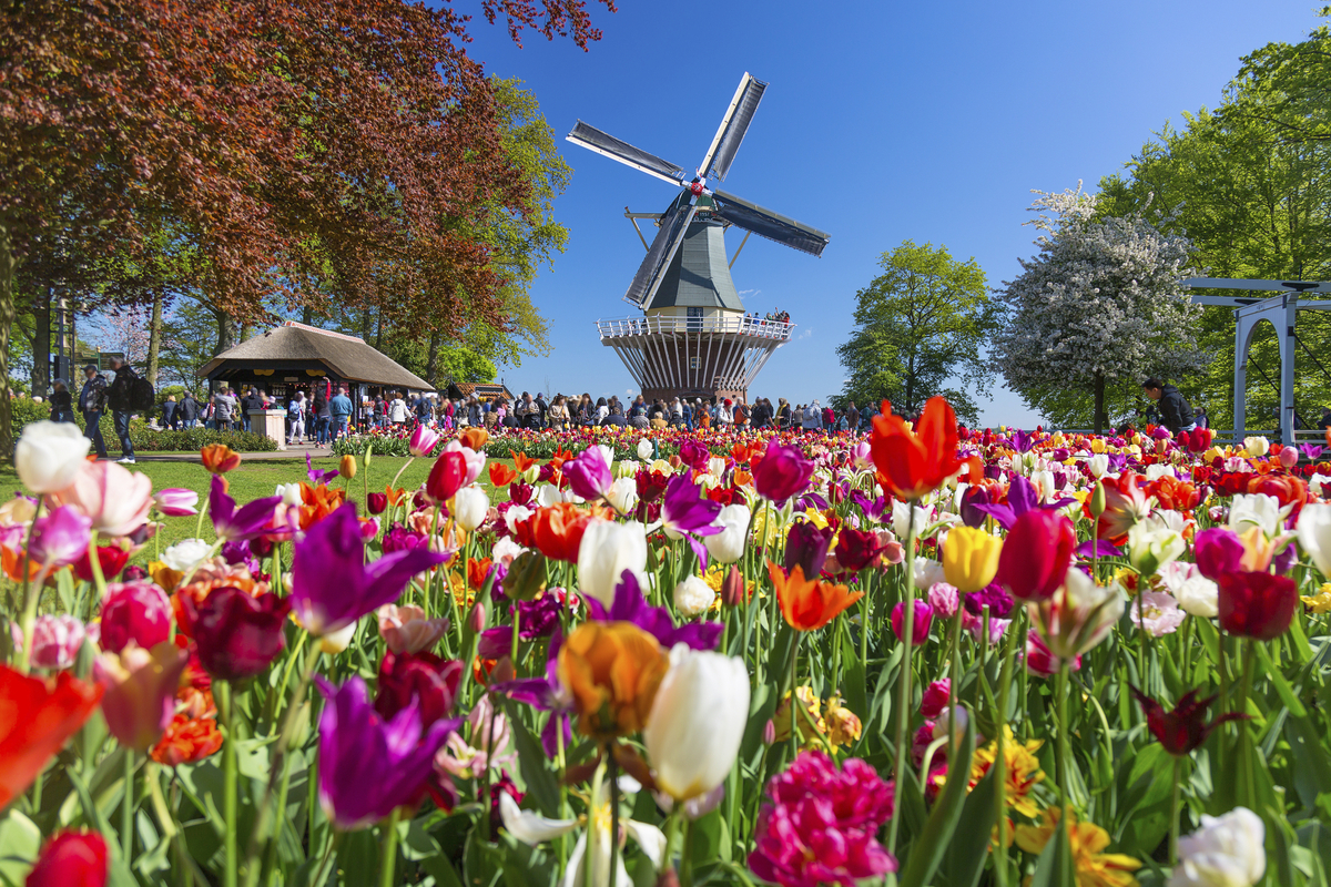 Keukenhof