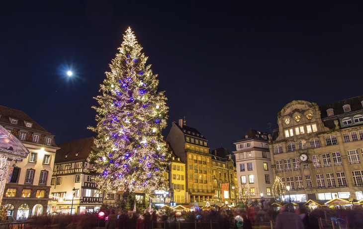 Christmas tree at Place Kleber in Strasbourg, 