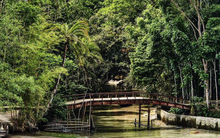 Die Weiten des Sundarbans Thurgau Ganga Vilas
