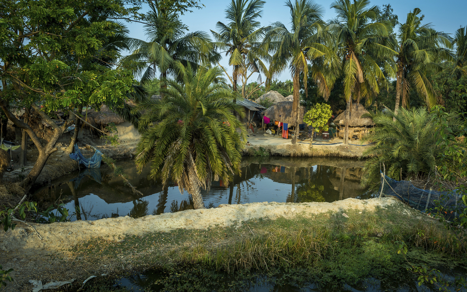 Sundarban