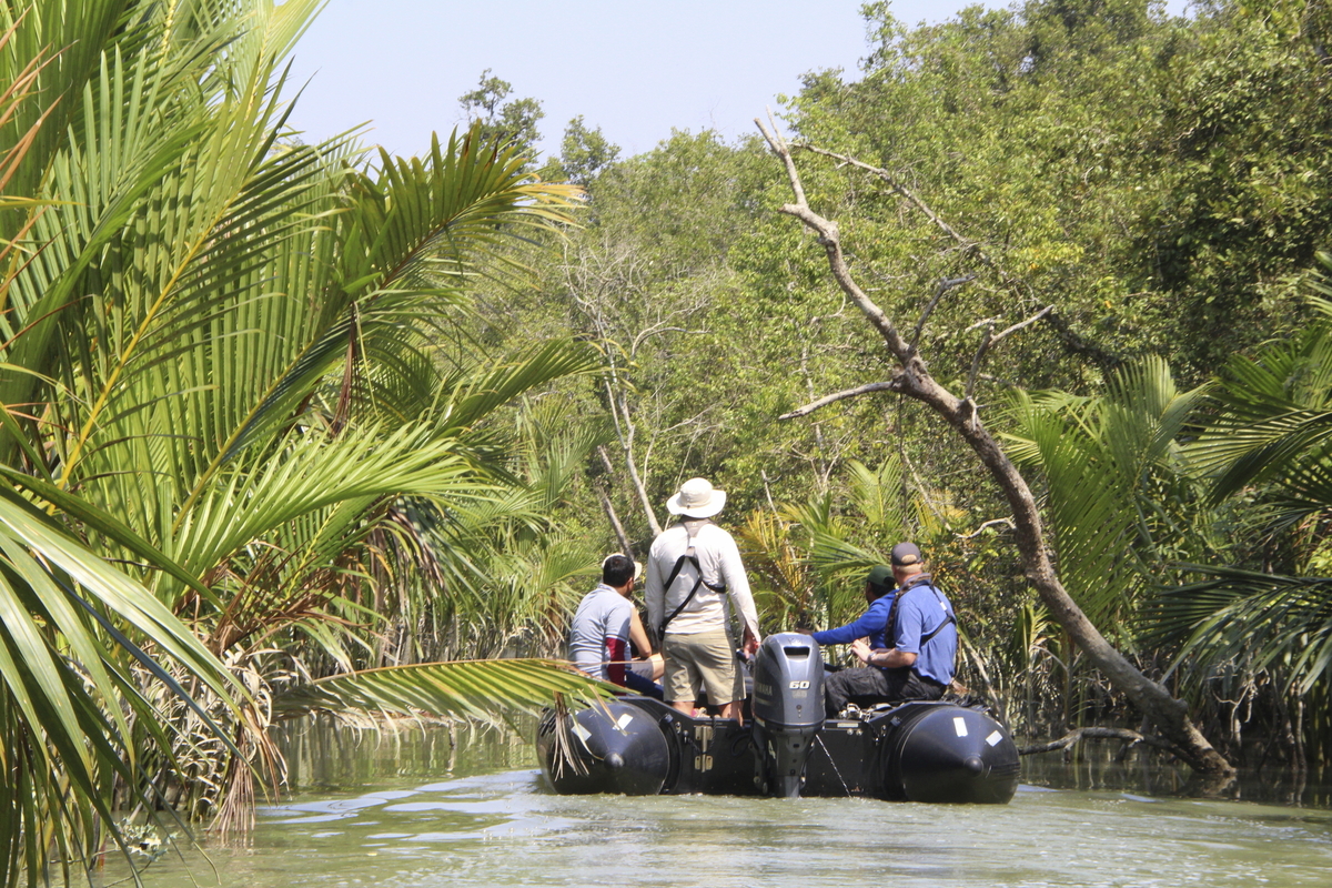 Sundarban, Bali Island - © 