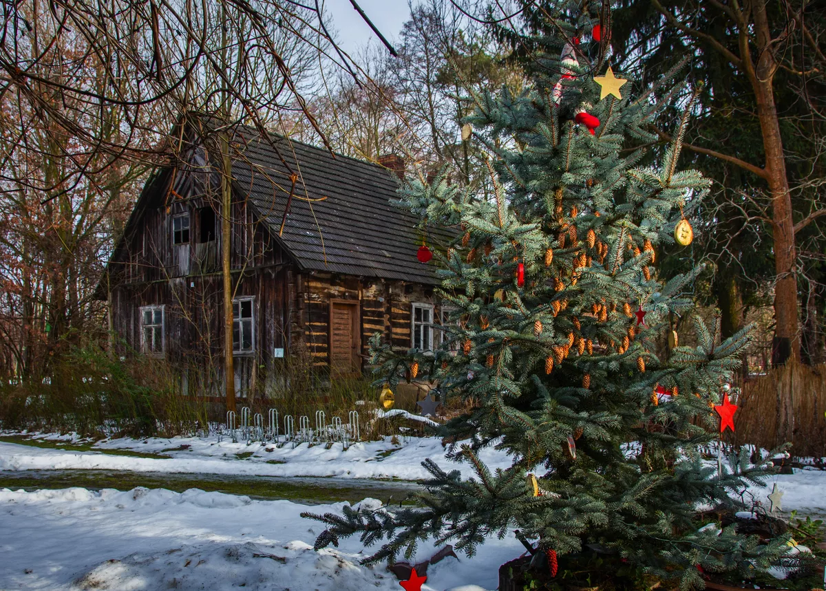 Weihnacht im Spreewald, Deutschland - ©Bomenius - stock.adobe.com