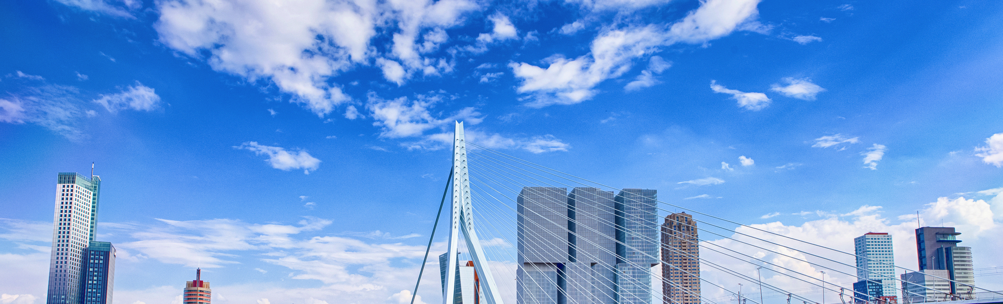 Erasmusbrücke (Schwanenbrücke) in Rotterdam - © danmorgan12 - stock.adobe.com