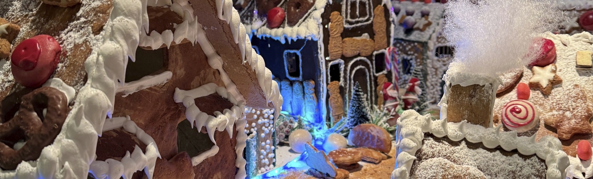 Weihnachtsdekoration Thurgau Chopin - Monika Theiler