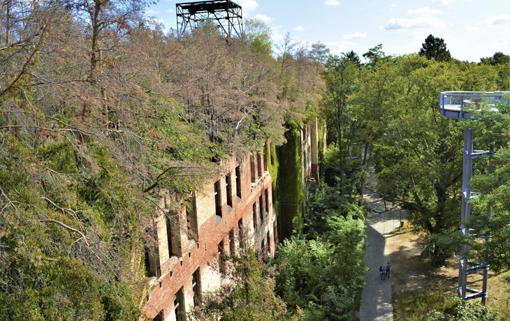 Baumwipfelpfad Heilstätten Beelitz