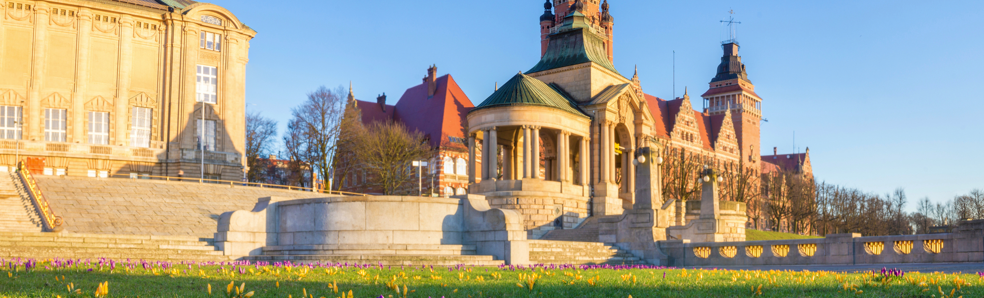 Krokusse blühen auf der Hakenterrasse in Stettin - © Mike Mareen - stock.adobe.com
