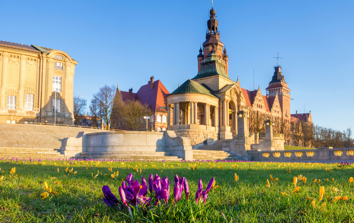 Krokusse blühen auf der Hakenterrasse in Stettin - © Mike Mareen - stock.adobe.com