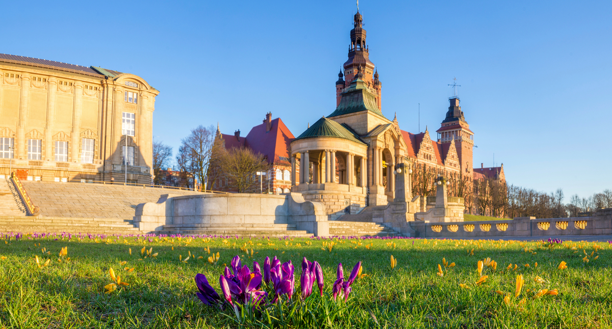 Krokusse blühen auf der Hakenterrasse in Stettin - © Mike Mareen - stock.adobe.com