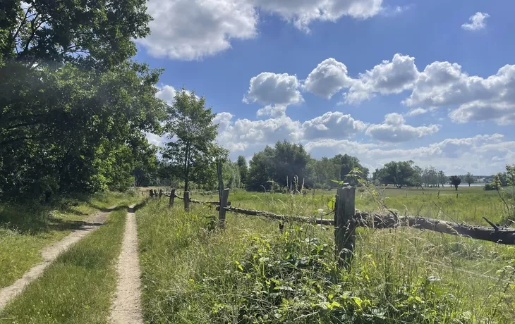 Thurgau Chopin  ab Demmin: Wanderflussreise auf Naturwegen zwischen Strom und Meer im 